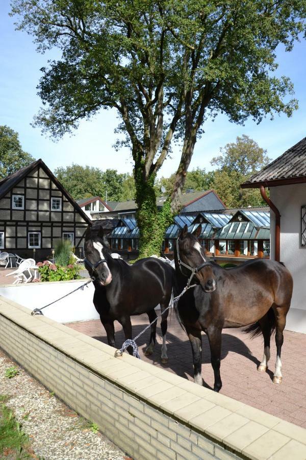 Landhotel Hof Barrl Schneverdingen Bagian luar foto