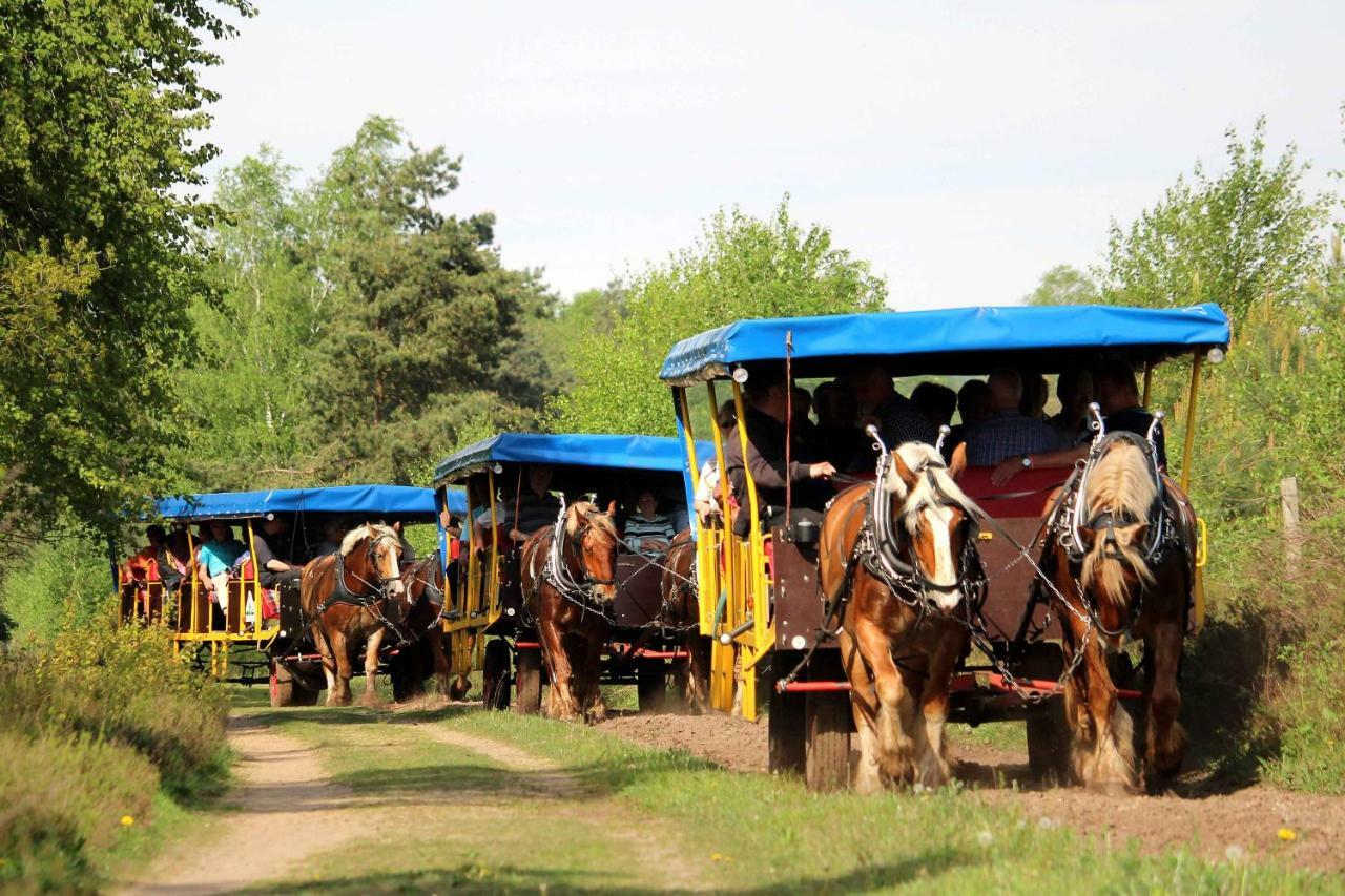 Landhotel Hof Barrl Schneverdingen Bagian luar foto